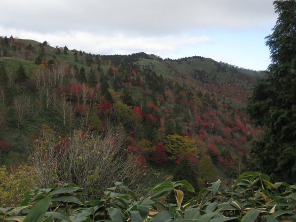 登山道